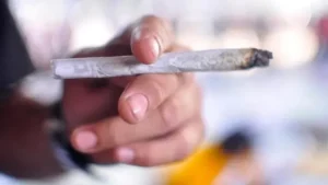 STF Descriminaliza Porte de Maconha: Decisão Histórica Divide Opiniões no Brasil