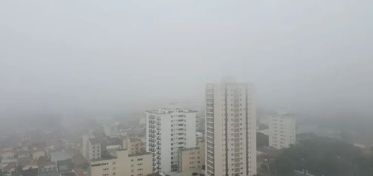 Frente fria histórica derruba temperaturas em SP: Previsão do tempo e dicas para se aquecer