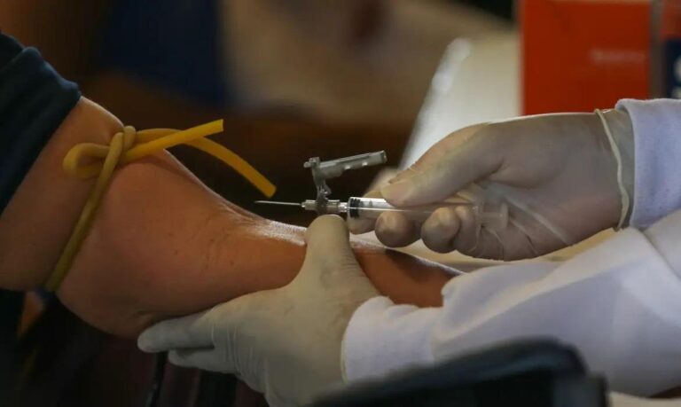 Casos confirmados em São Paulo acendem alerta para a arbovirose transmitida pelo mosquito maruim.