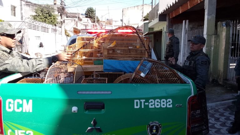 GCM apreende 21 aves silvestres em cativeiro ilegal no Jardim Almeida Prado.