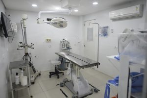 Clínica veterinária gratuita no Pimentas muda de endereço a menos de 200 metros do antigo local