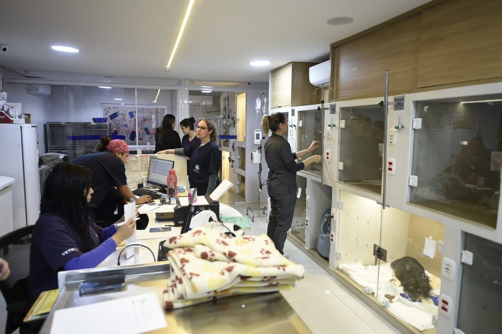 Clínica veterinária gratuita no Pimentas muda de endereço a menos de 200 metros do antigo local