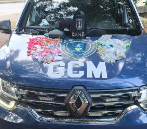 GCM apreende adolescente com 600 porções de drogas no Jardim Toscana