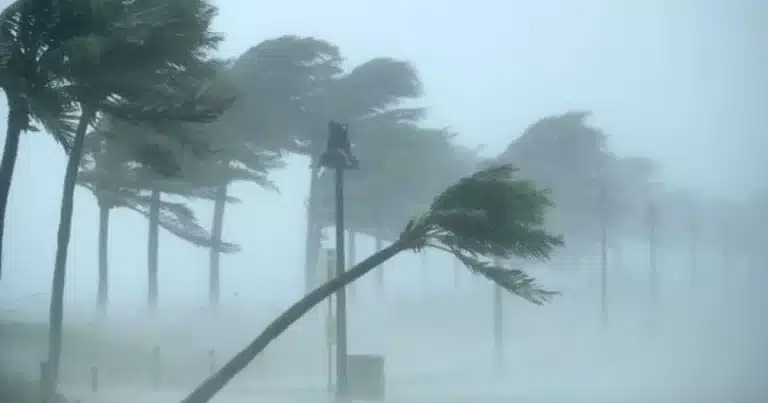 Ciclone Extratropical Gera Alerta de Chuva e Vento para São Paulo e Guarulhos