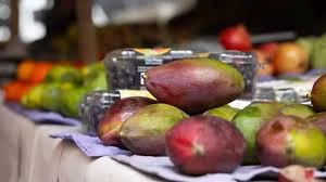  Governo Federal Comprará Alimentos Perecíveis que Iam para Exportação