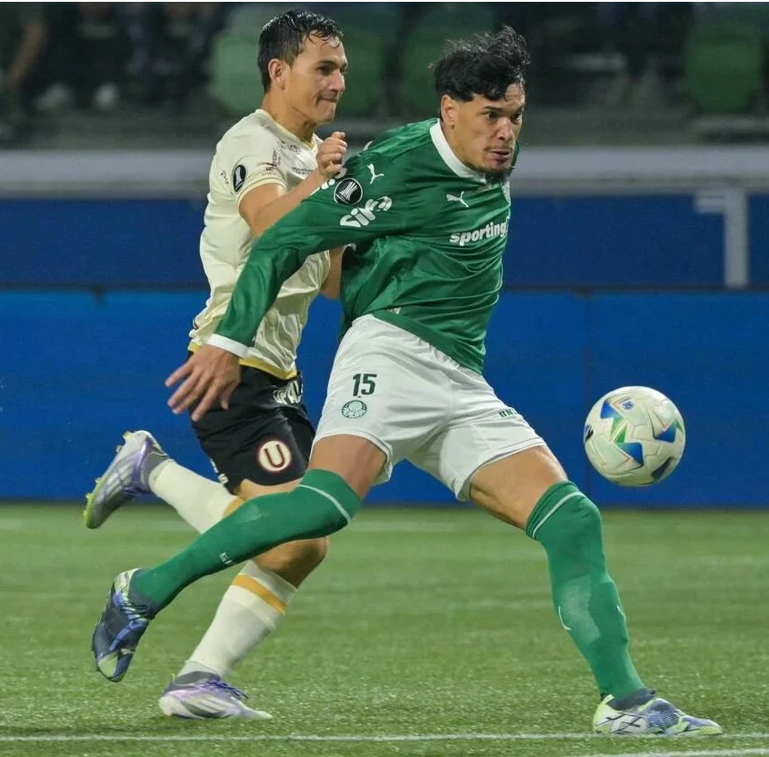 Palmeiras Empata e Avança às Quartas da Libertadores; Botafogo É Eliminado