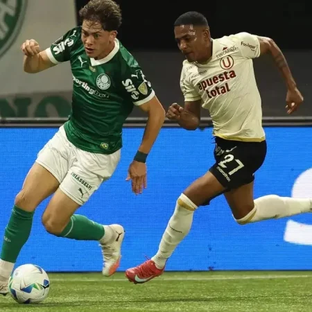 Palmeiras Empata e Avança às Quartas da Libertadores; Botafogo É Eliminado
