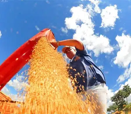 Setembro Inicia com Crescimento nas Exportações e Superávit na Balança Comercial