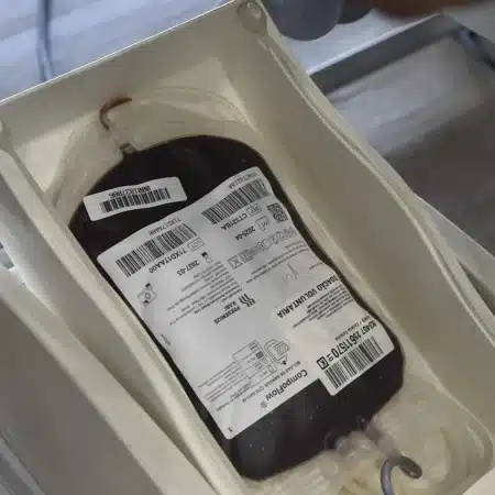 Campanha de Doação de Sangue em Guarulhos Supera Meta e Salva Centenas de Vidas