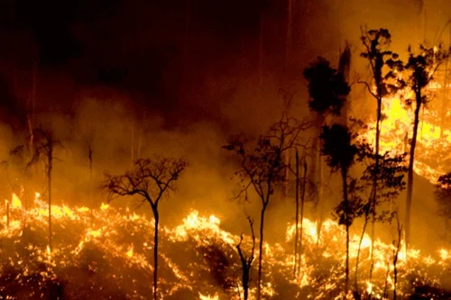 Queimadas Persistem em SP Com Temperaturas Altas; Frente Fria Traz Alívio e Tempestades no Domingo
