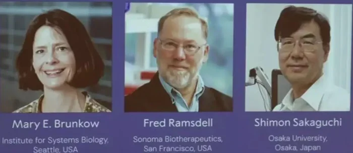 Nobel de Medicina 2025 Vai para Cientistas Americanos e Japonês