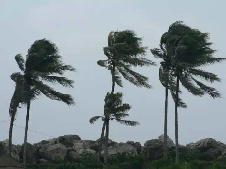 Ciclone Provoca Ventos Acima de 100 km/h e Atinge Vários Estados; Alerta para Guarulhos e São Paulo