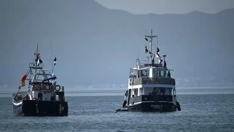 Brasileiros da Flotilha Global Sumud Chegam ao País Após Interceptação e Prisão em Israel