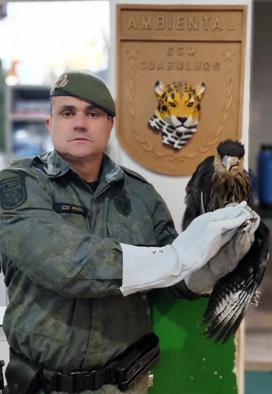GCM de Guarulhos Resgata 780 Animais Silvestres em Ações Contra Cativeiro e Risco Urbano