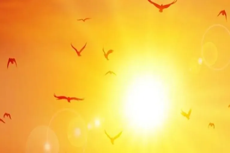 Onda de Calor Histórica: SP e Guarulhos Batem Recordes no Natal de 2025