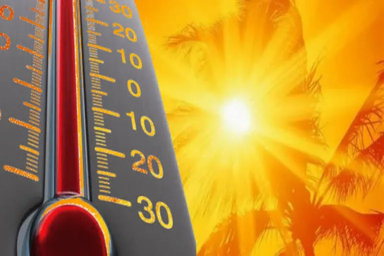 UM SOL PARA CADA UM