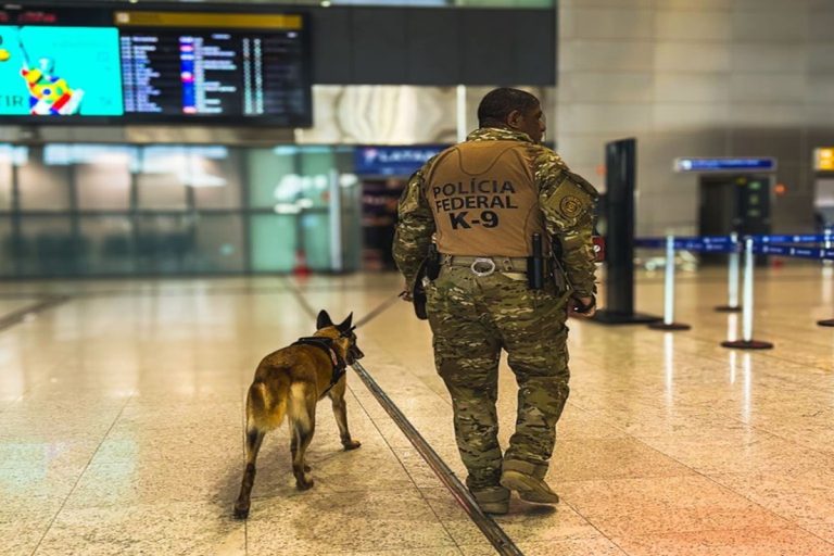 Polícia Federal em Guarulhos apreende 80 kg de drogas e prende 9 no Aeroporto (GRU)