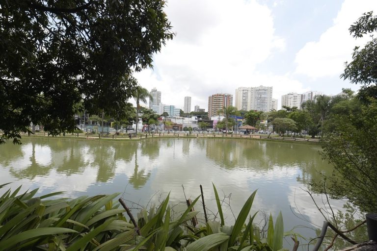 Meio Ambiente: Bosque Maia promove manhã gratuita de observação de pássaros neste sábado