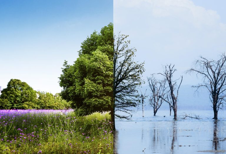 Dia Mundial da Água: Bosque Maia recebe evento gratuito com exposições e projetos climáticos em Guarulhos