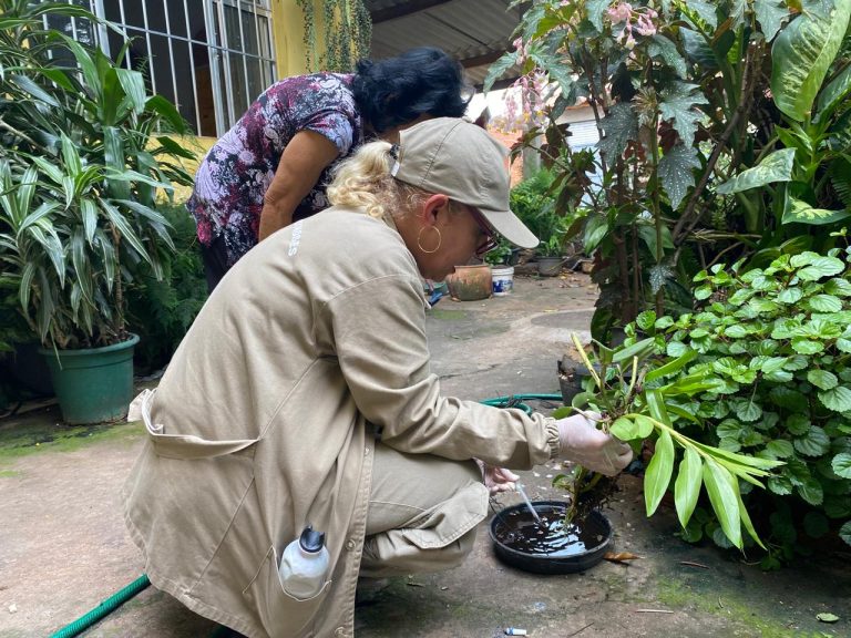 Força-Tarefa contra a Dengue: CCZ de Guarulhos atua em 57 bairros para eliminar focos do mosquito após 177 casos confirmados