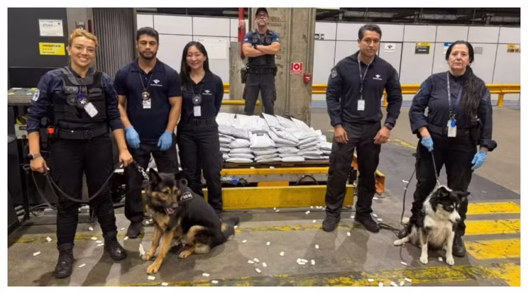 Cerco Logístico: Cães farejadores encontram 280 kg de haxixe vindos dos EUA no Aeroporto de Guarulhos