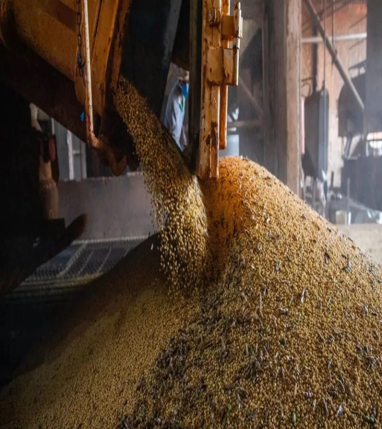 Economia brasileira cresce 1,1% no 1º trimestre