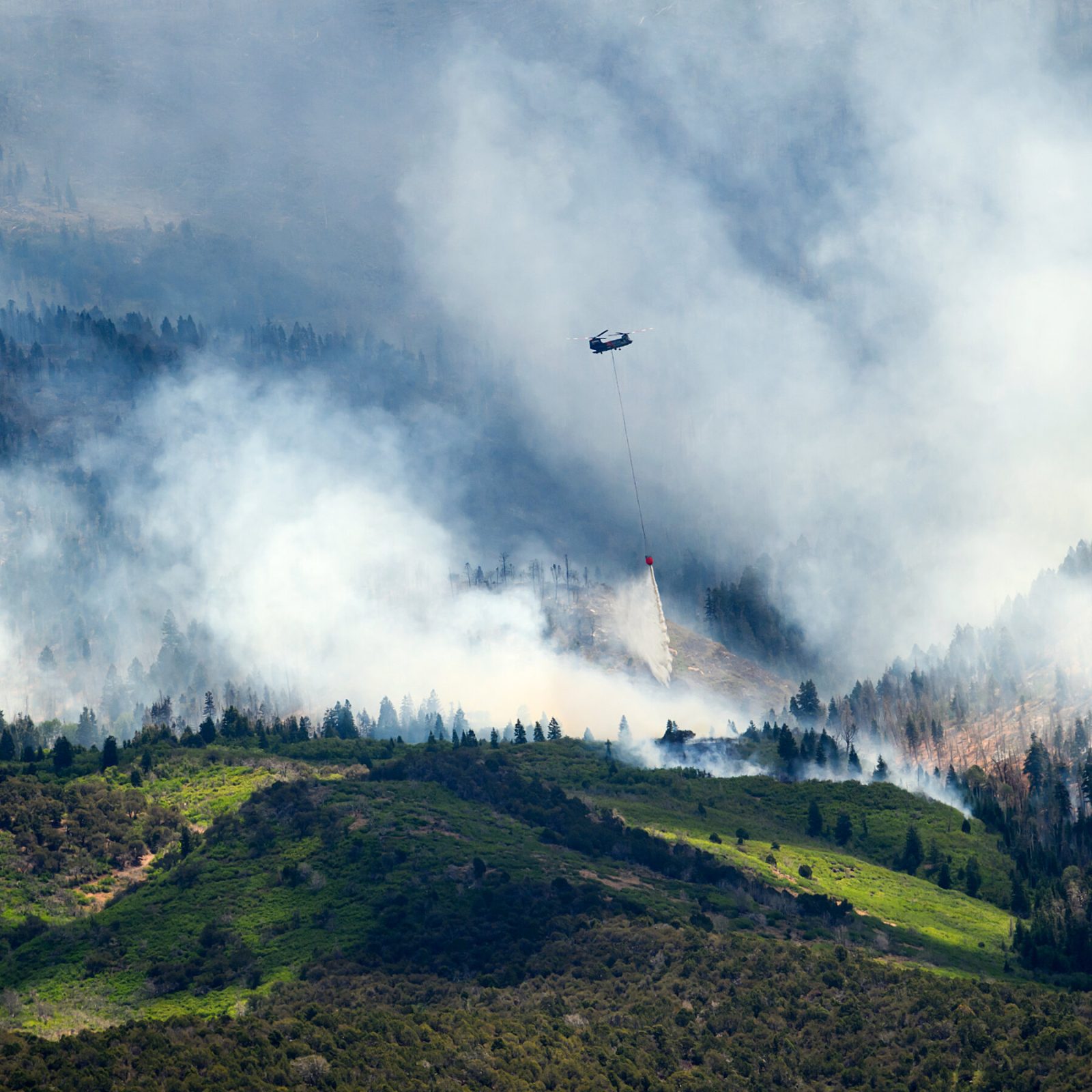 Three Firefighters Die as Wildfires Ravage Utah and Colorado