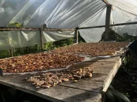 melhoramentos investe r 40 milhoes em fabrica de embalagens sustentaveis 1782720071034