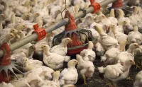 alem do futebol brasil e japao mantem negociacoes estrategicas para o agro 1782725472520