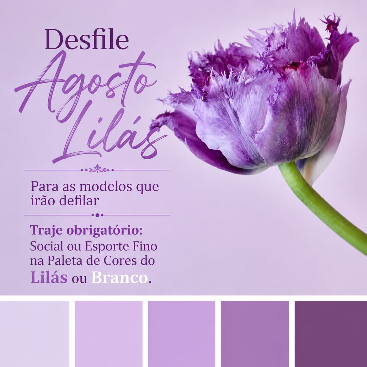 Desfile Agosto Lilás em Guarulhos une moda, conscientização e solidariedade pelos 20 anos da Lei Maria da Penha