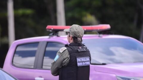 Polícia registrou 783 mil atendimentos especializados à mulher em 2025