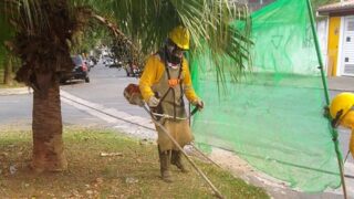 Zeladoria em Guarulhos: Prefeitura corta mato alto em 4 bairros