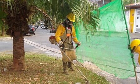Zeladoria em Guarulhos: Prefeitura corta mato alto em 4 bairros