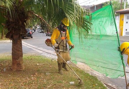 Zeladoria em Guarulhos: Prefeitura corta mato alto em 4 bairros