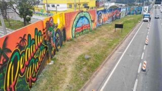Via Dutra vira galeria a céu aberto com obras de artistas guarulhenses