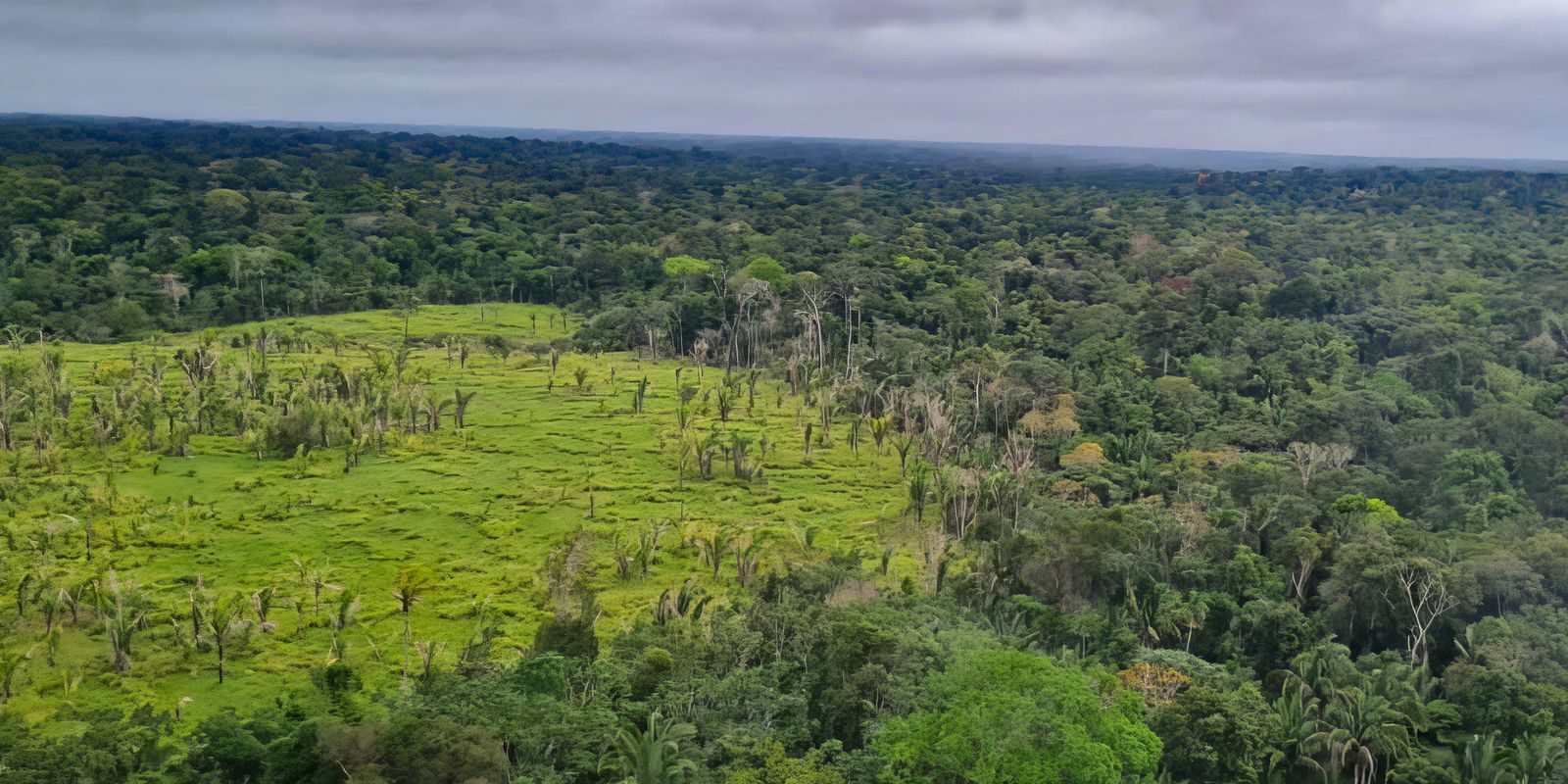 Desmatamento zero em 60% das terras indígenas da Amazônia