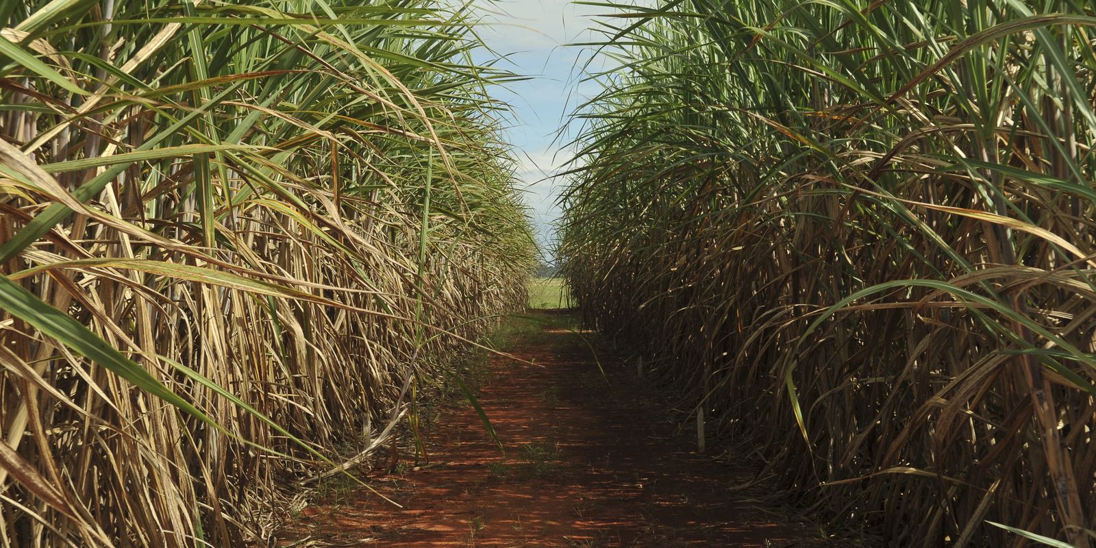 CMN aumenta limite de remuneração do Eco Invest Brasil