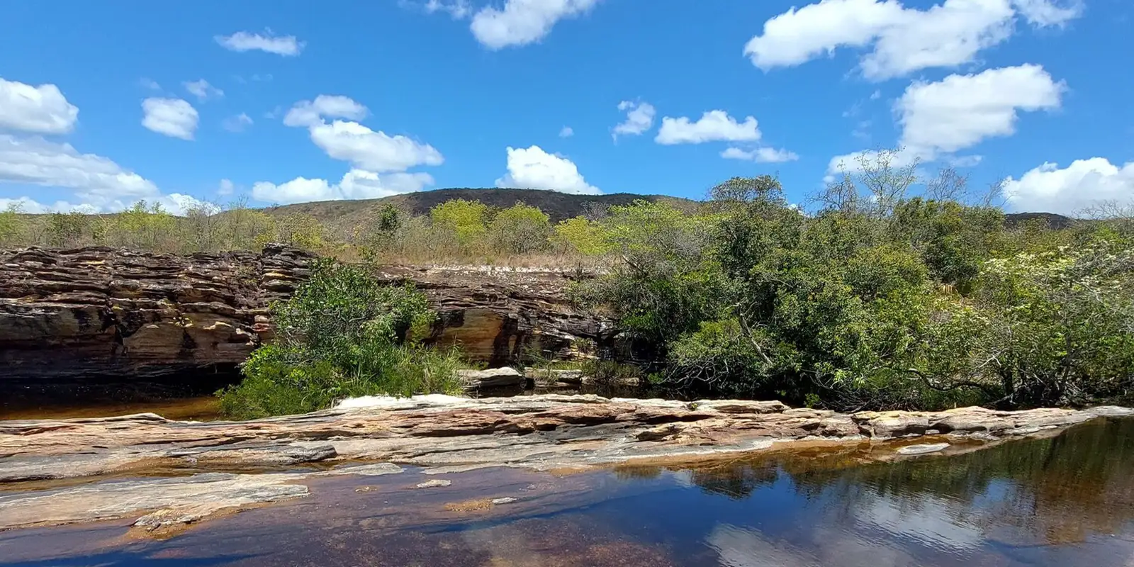 Pantanal: mudanças climáticas afetam bioma devido à influência de outros ecossistemas
