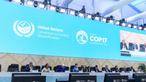 COP17 termina com poucos avanços e adiamento de regime global contra secas