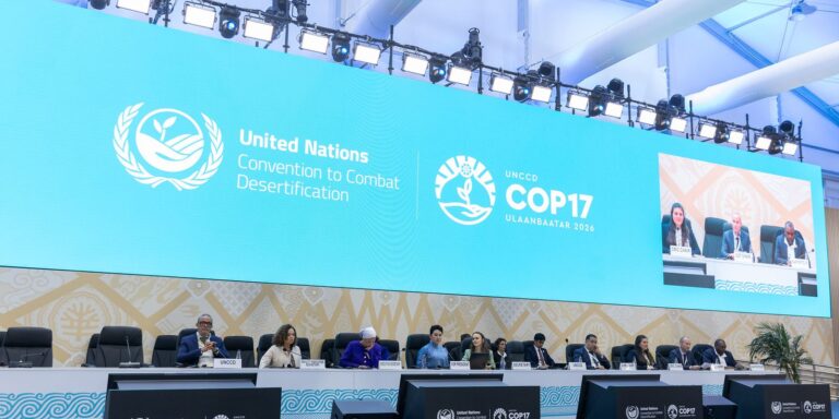 cop17-termina-com-poucos-avancos-e-adiamento-de-regime-global-contra-secas