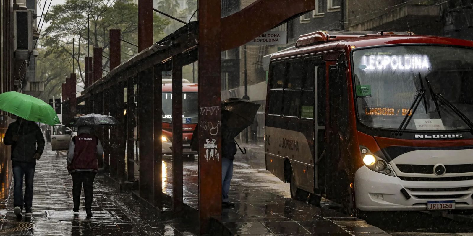 Menino de 8 anos morre após queda de árvore em Porto Alegre