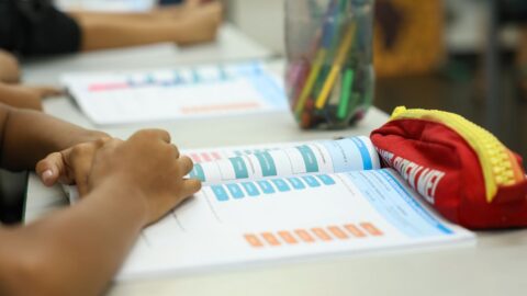 Censo Escolar 2026: escolas podem conferir dados até 11 de setembro