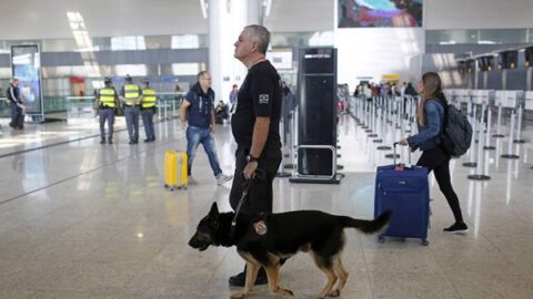 PF prende nove pessoas no Aeroporto de Guarulhos e arredores