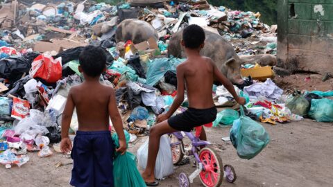 Senado aprova direito prioritário de crianças e adolescentes a meio ambiente saudável