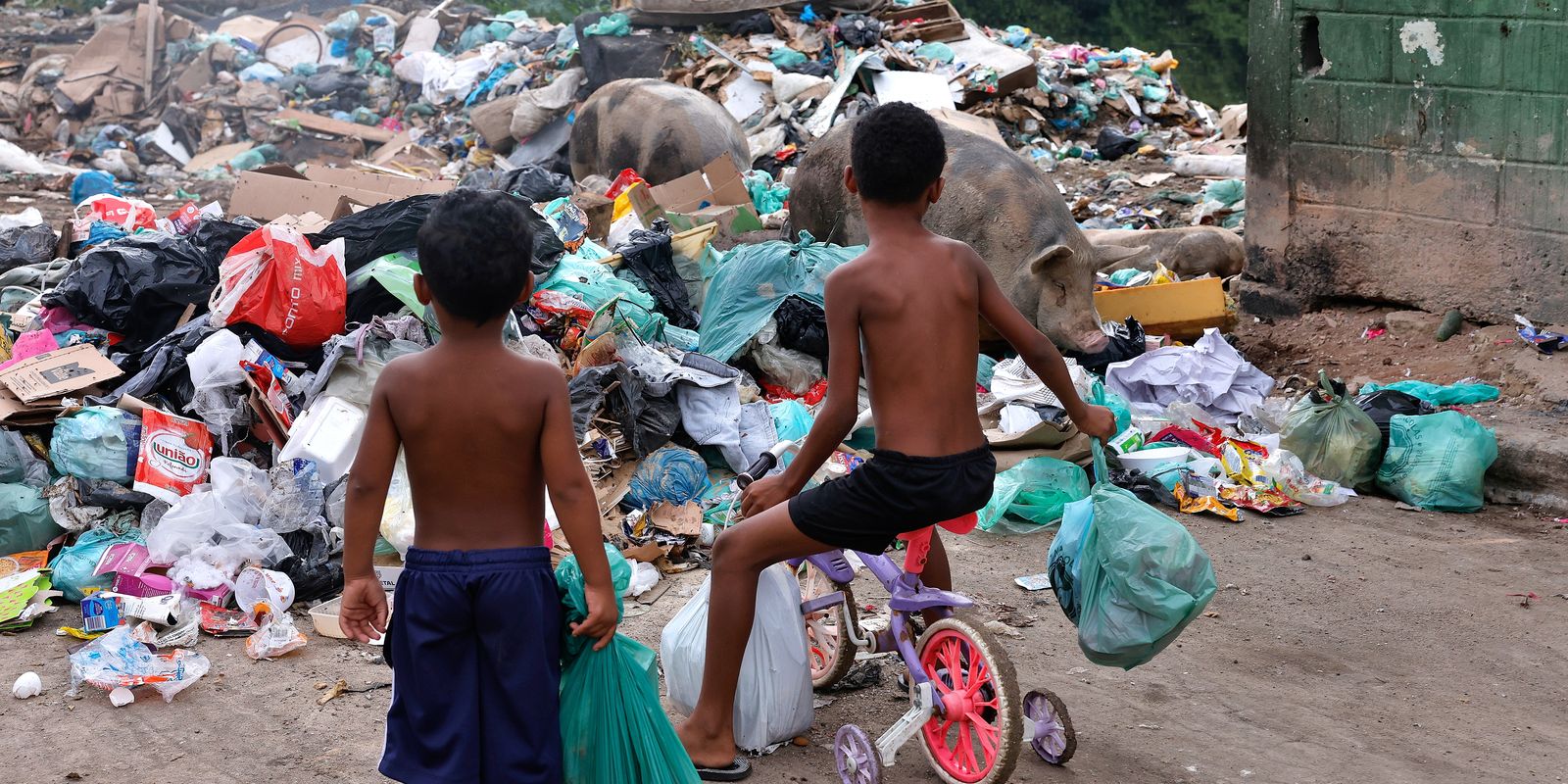 Senado aprova direito prioritário de crianças e adolescentes a meio ambiente saudável
