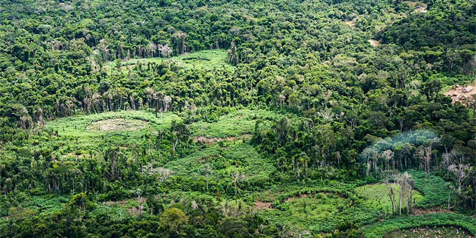 Especialistas defendem protagonismo indígena na restauração de terras na Amazônia