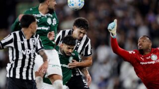 Botafogo empata com Palmeiras e ajuda Flamengo a assumir liderança do Brasileirão
