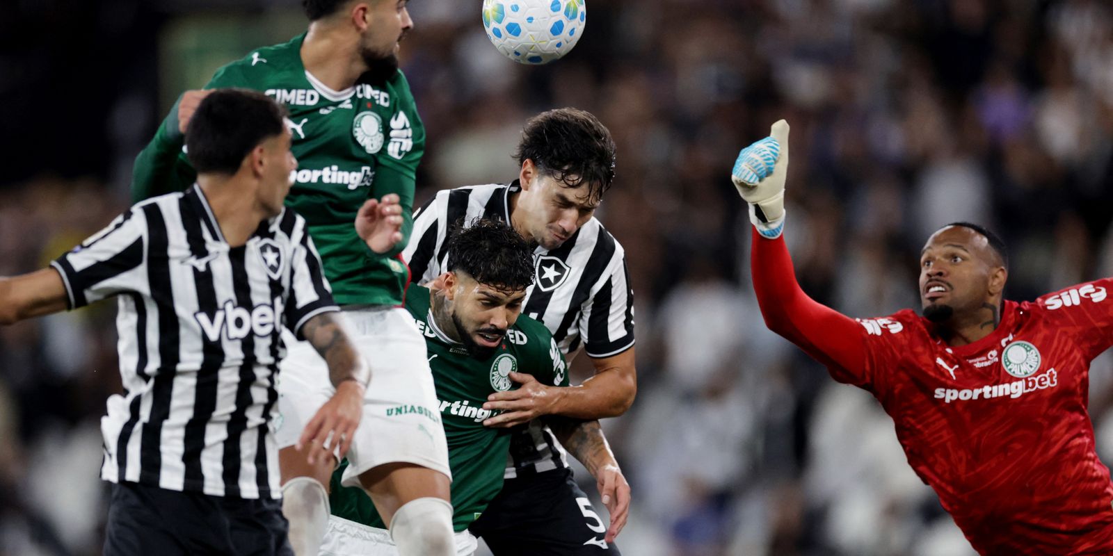 Botafogo empata com Palmeiras e ajuda Flamengo a assumir liderança do Brasileirão