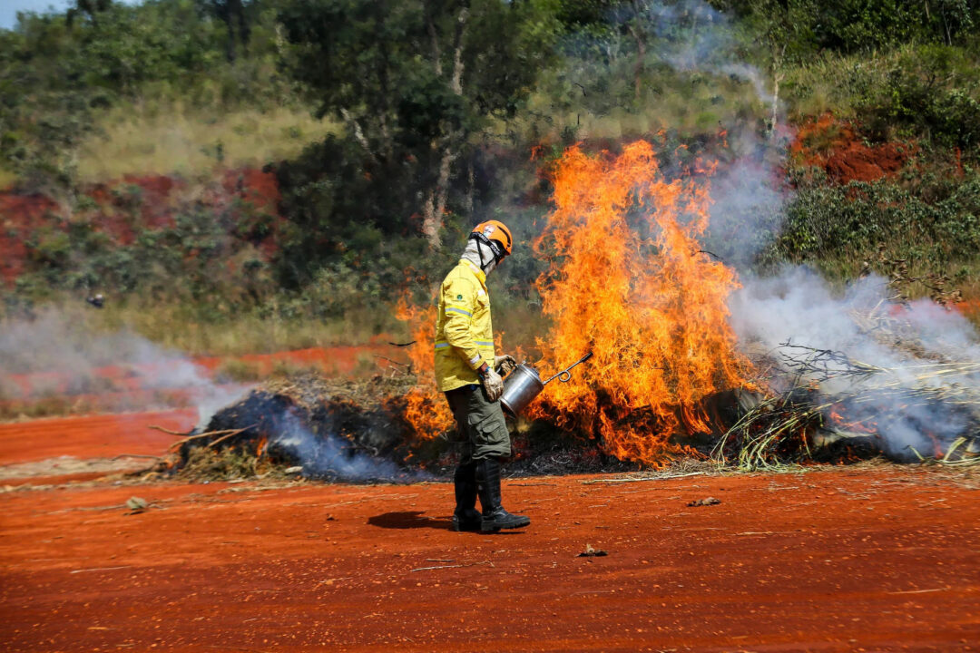 Governo de SP amplia ações contra incêndios e pede apoio da população
