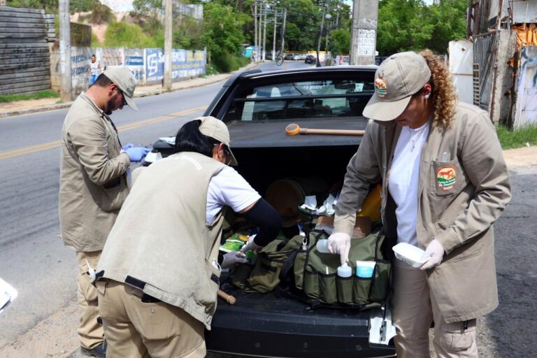 prefeitura-de-guarulhos-intensifica-combate-a-dengue-em-44-bairros